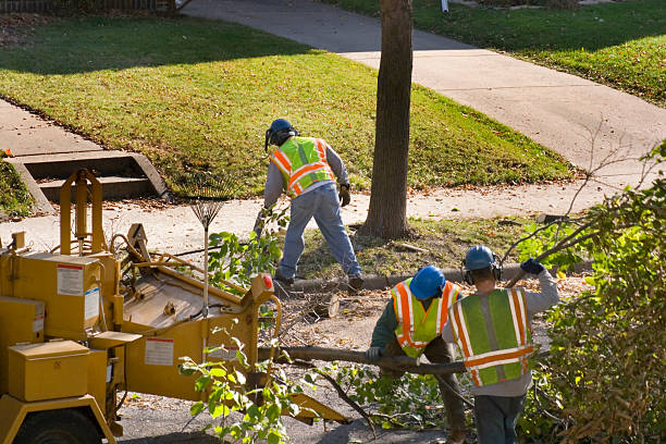 Best Lawn Drainage Solutions  in St Croix Falls, WI